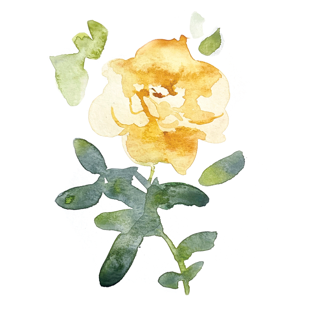 Yellow Rose - Art Print — Christina Leone Originals